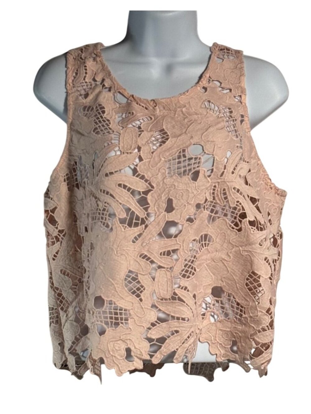 Caution To The Wind Pink Lace Floral Cutout Cropped Tank Top Womens Size S